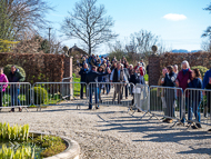 PN030422-3 - Paul Nicholls Stable Visit